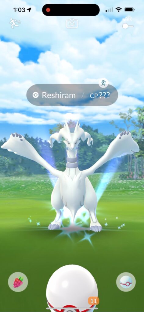10 orange berries and 10 excellent throws in a row.