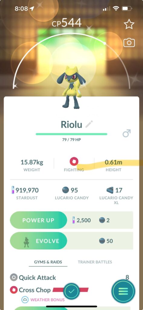 Spent forever shiny hunting for a Riolu….