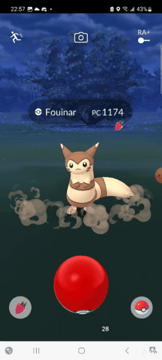 First time seeing a wild Furret, I can't get over how cute its attack animation looks!!! (sorry for the low fps gif)