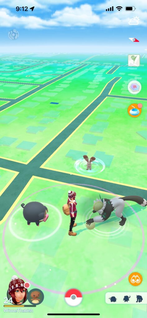 What do the different circles under each Pokemon mean? Ex. I got this screenshot with a whirlpool under the bunnelby, a sort of ripple circle under the passimian, and a sort of radar flashing circle under the lechonk…??