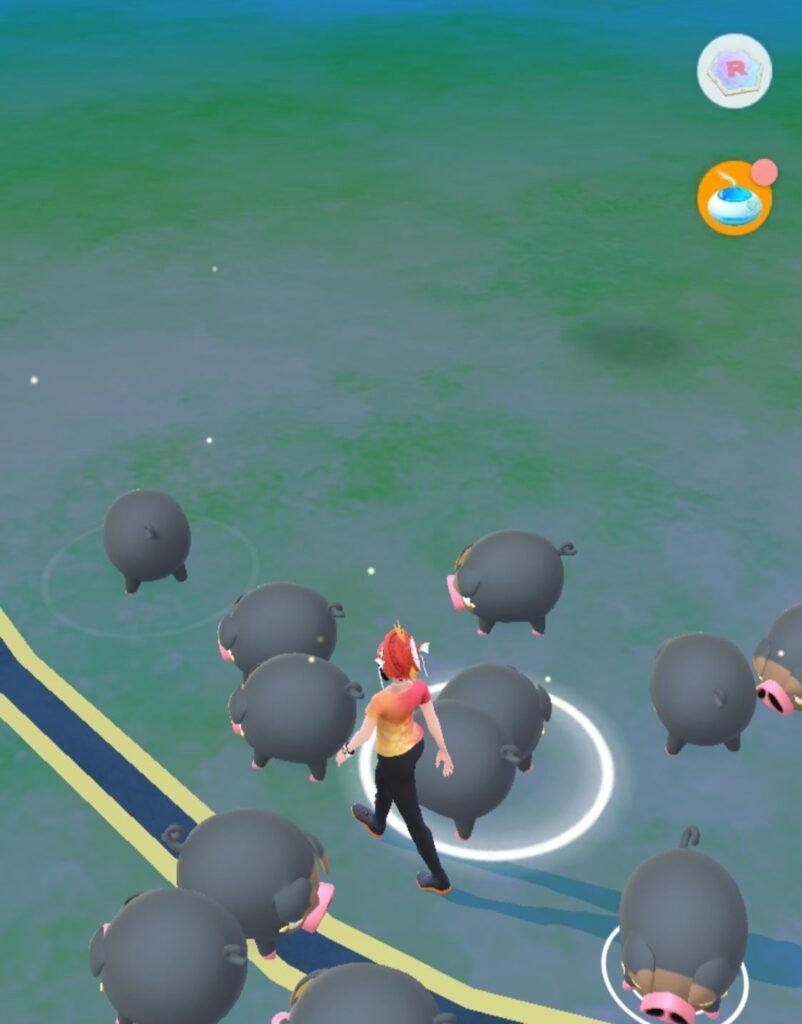 Did I miss an event notification or is my house now a designated Lechonk farm?