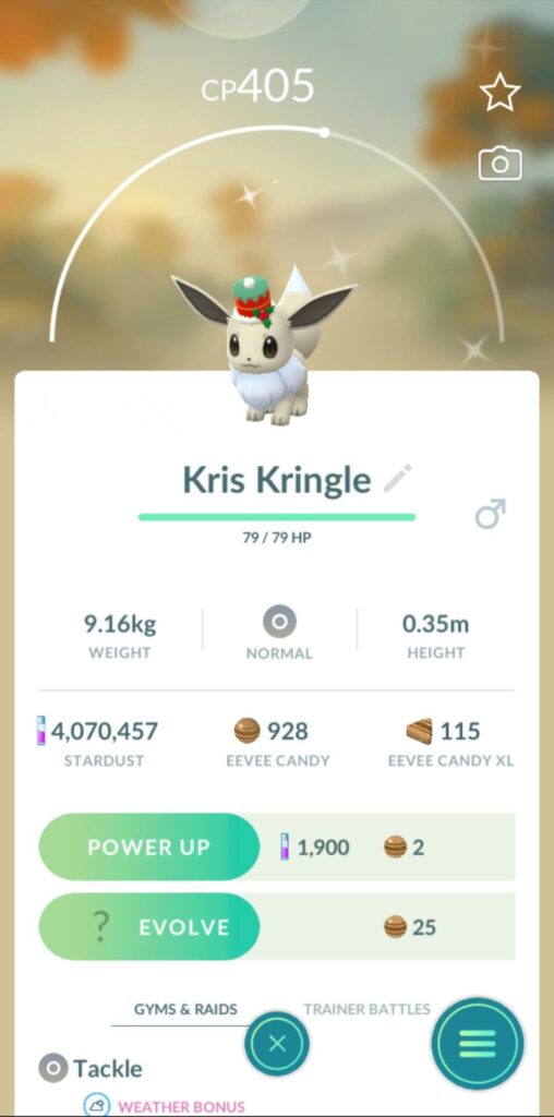A Christmas Miracle!!!