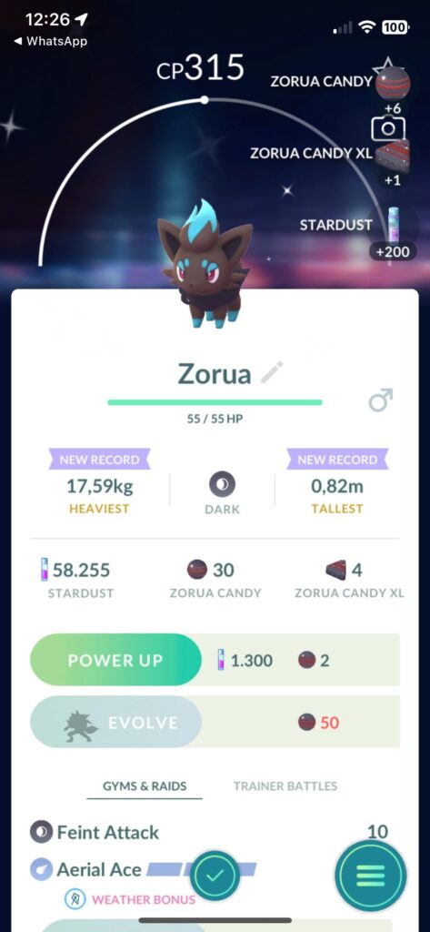 I have a Shinny buddy does that mean I get a Shinny zorua everytime