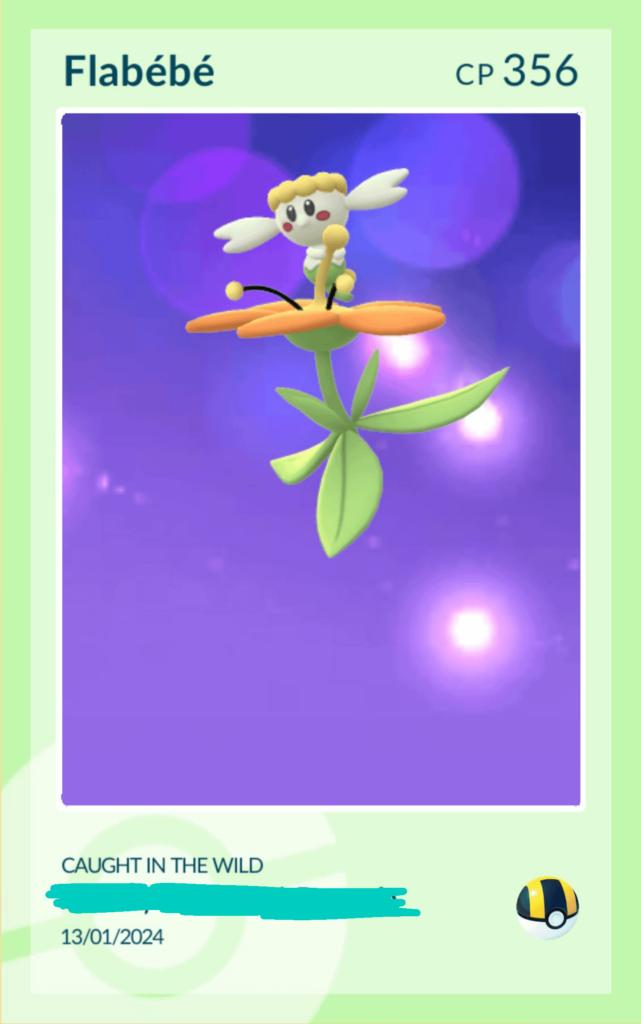 orange flower flabébé