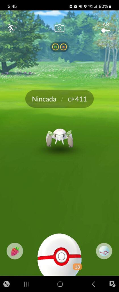 FINALLY! This is the first Nincada I've ever seen, playing since 2016