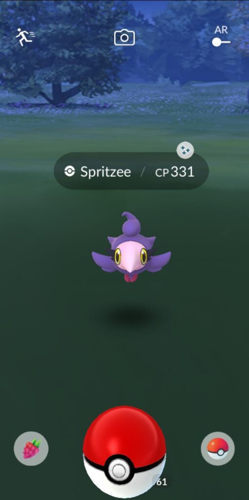 Found this little cutie at work