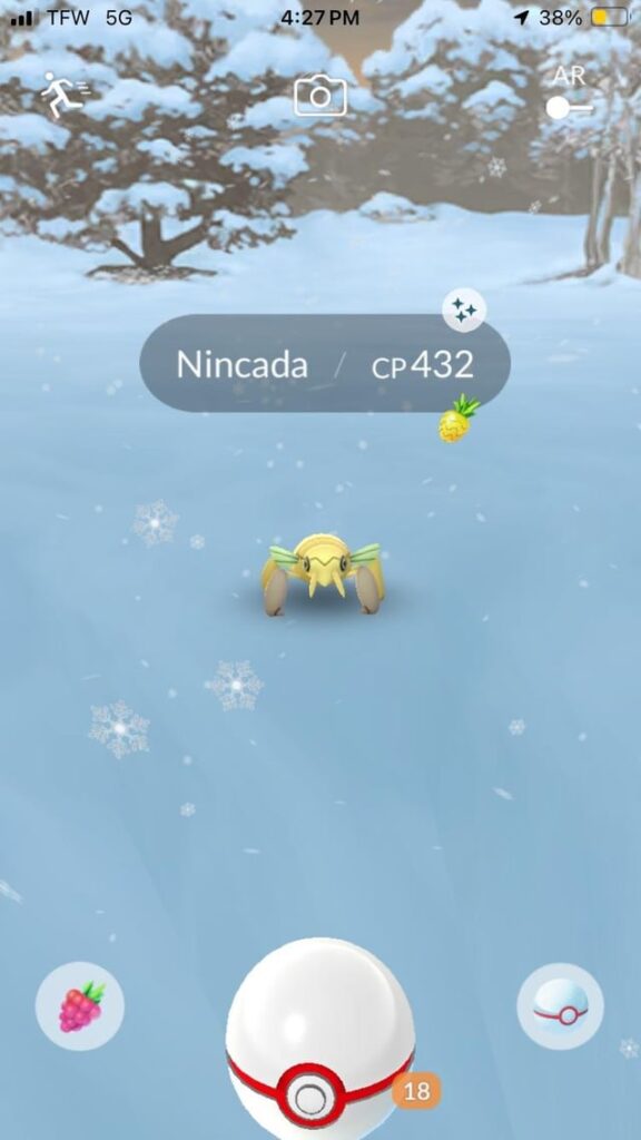Walked to a raid in the cold to grab my first Nincada