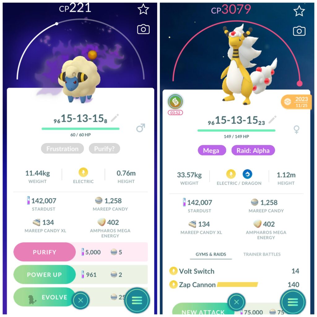 Should I purify my 15-13-15 Mareep to replace my 15-13-15 Ampharos!?