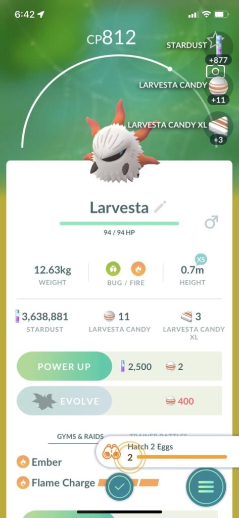 Finally hatched my first Larvesta, but also whyyyyyyyyy 😭