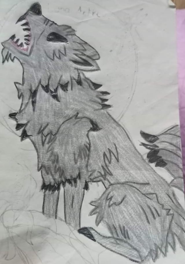 Que opinan de mis dibujos para mi Fake Región