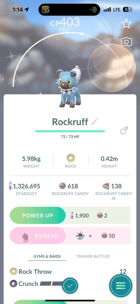 Makes up driving around for hours trying to find a single raid