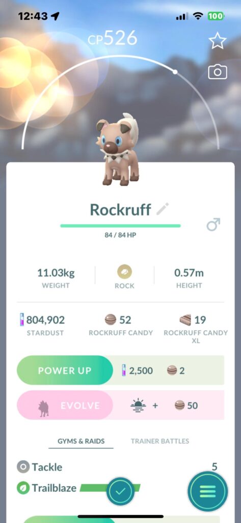 My first rockruff that I caught!!!😍😍😍😍😍😍😍