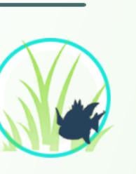 What is this????
