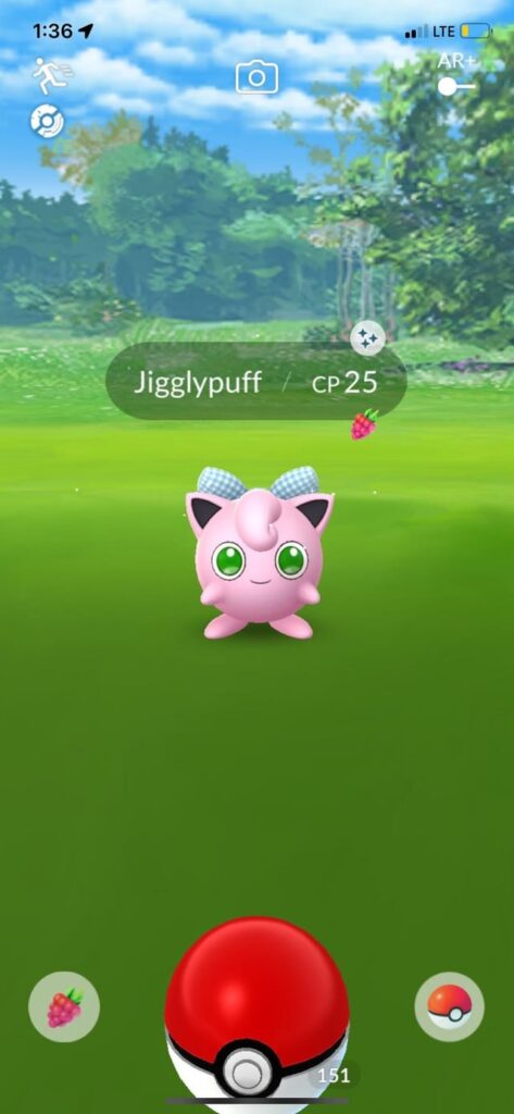 What Should I Name It
