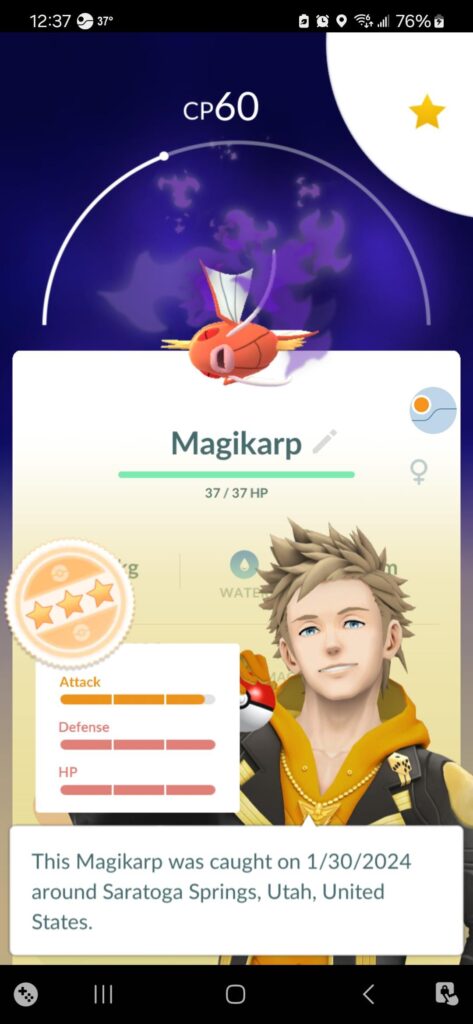 Should I purify or leave shadow?