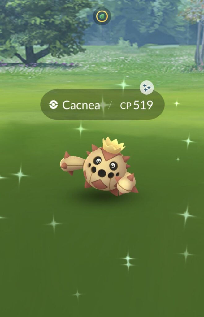 found this outside my home