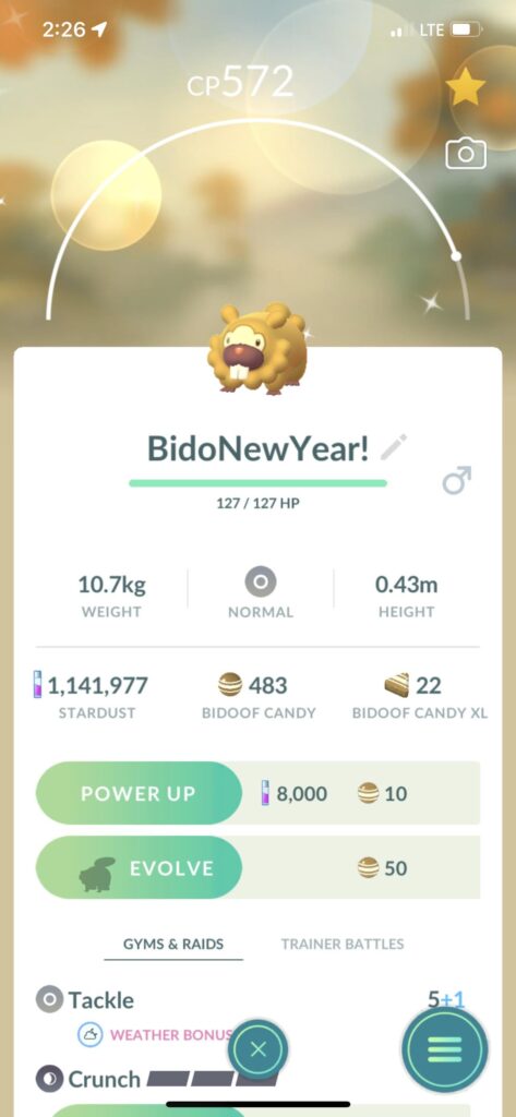 First pokémon of 2024… this will be a blessed year, if our savior Bidoof approves
