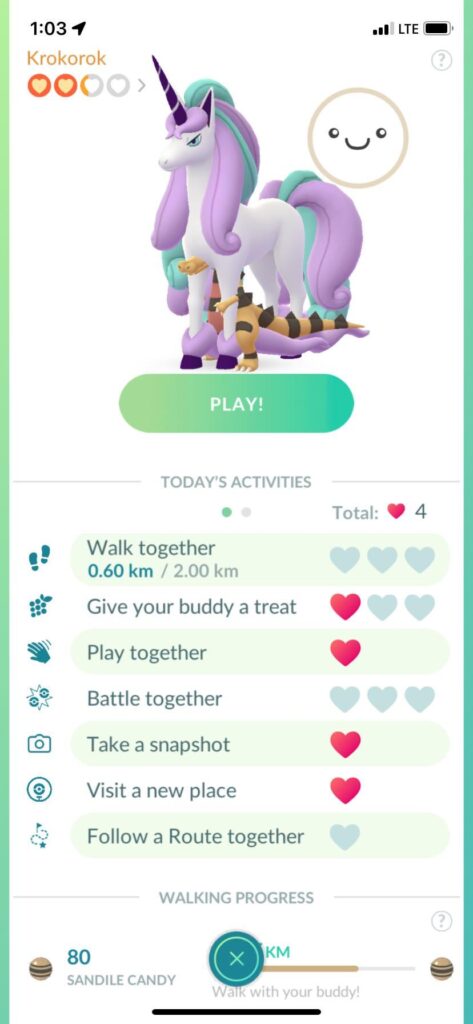 Weird glitch- rapidash has never been my buddy pokemon