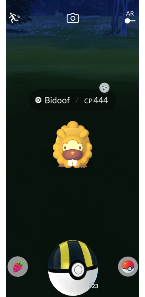 Got myself a second shiny Bidoof :D