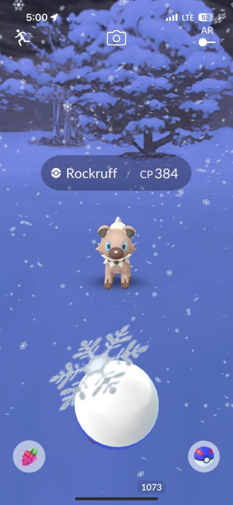 I had a snow ball fight with Rockruff today ❄️☃️