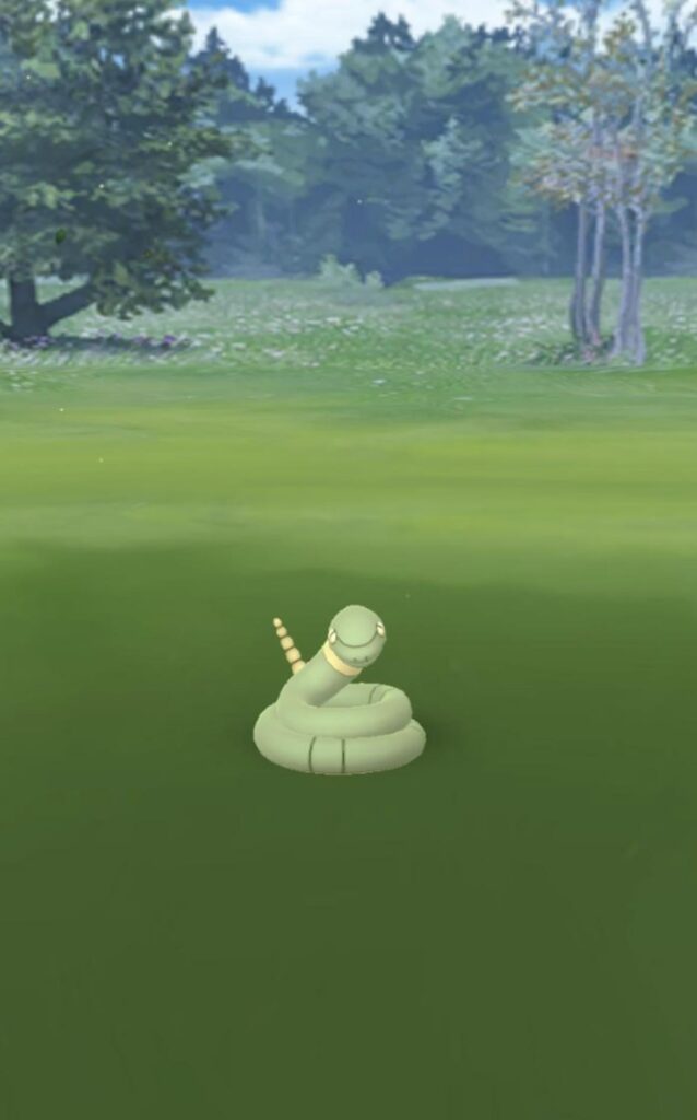 Found this guy today with an accidental click