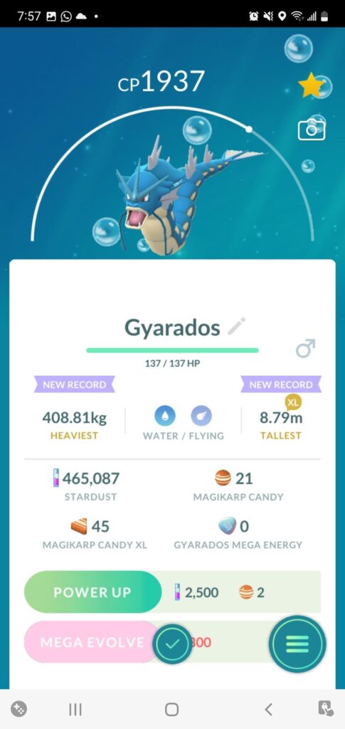 I just got my beautiful extra large Hundo Gyarados!
