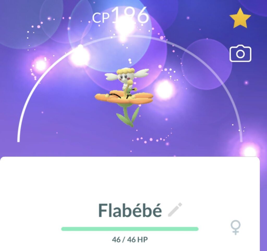 Orange flower Flabebe