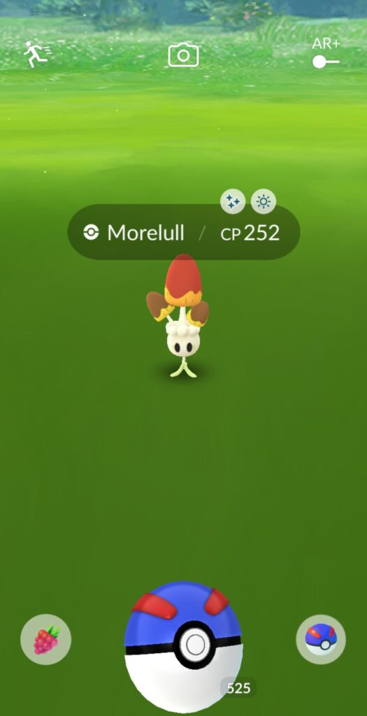 First shiny of 2024.