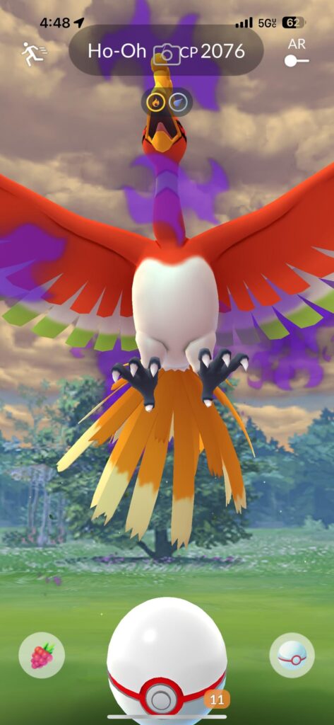 Shadow ho-oh defeated by 3 person raid group only to run away. Imma cry now