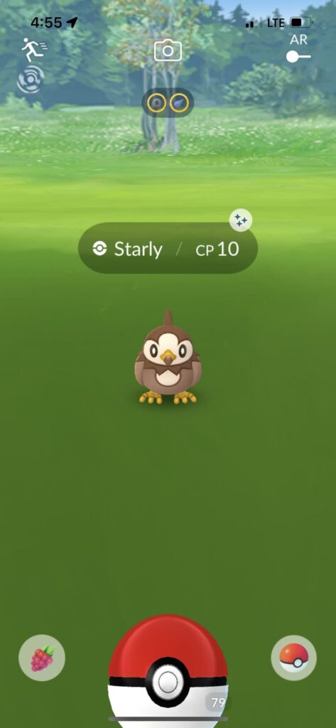 always check your wild pokemon pt. 2