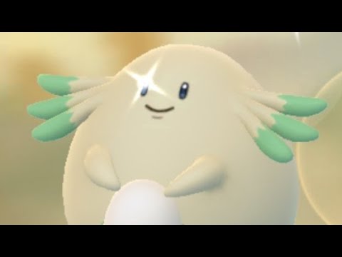 Chansey Community Day - Shiny Hunt - LIVE - Pokemon GO
