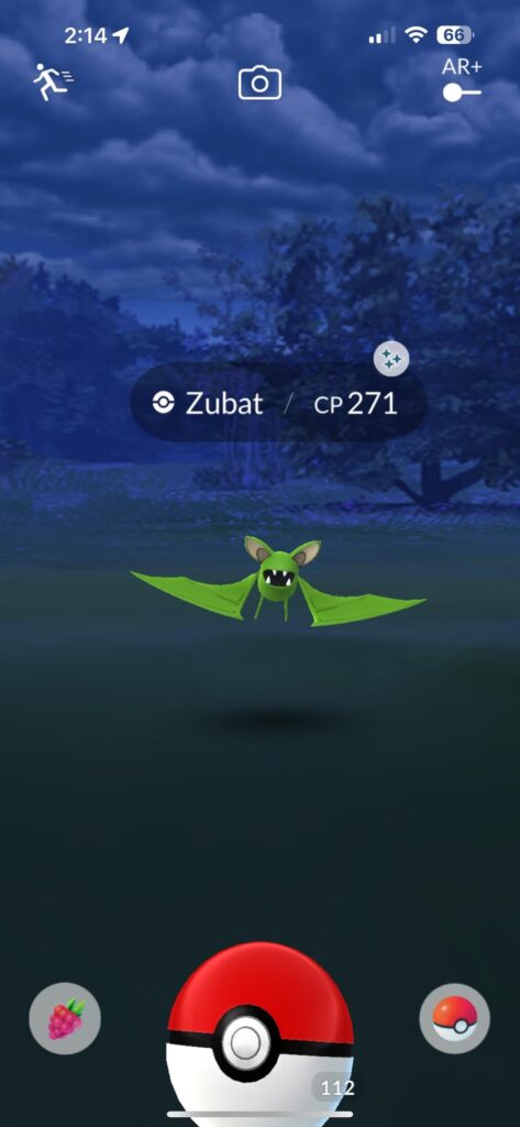 Shiny Zubat from an encounter!