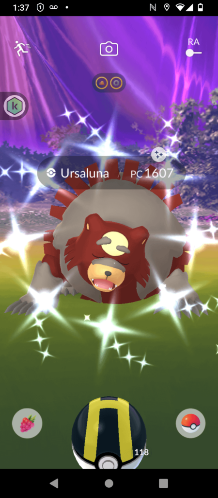 I got a shiny female Ursaluna (from the "Do 3 raids" field research) which is cool because today is the night of the full moon 🌕 🌝 🥰🥰