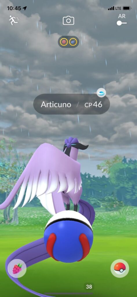 Caught this while walking to class. Regular Razzberry and Ultraball, first ever encounter with Galarian Bird