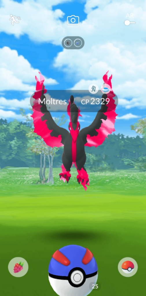 So I'm on my way to a funeral and I see this lil guy while we're driving...