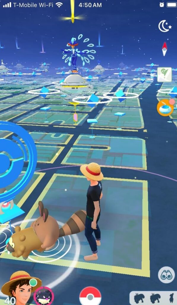 I first thought Bidoof was just having fun, now I think she’s working.