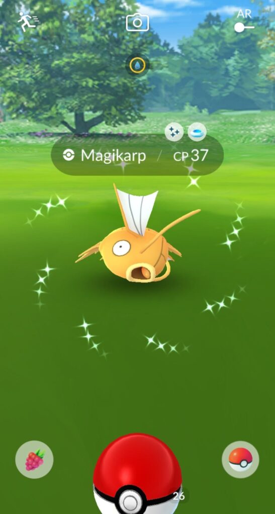 Was checking how many magikarps I've seen before I caught a shiny and barely noticed the description 💀