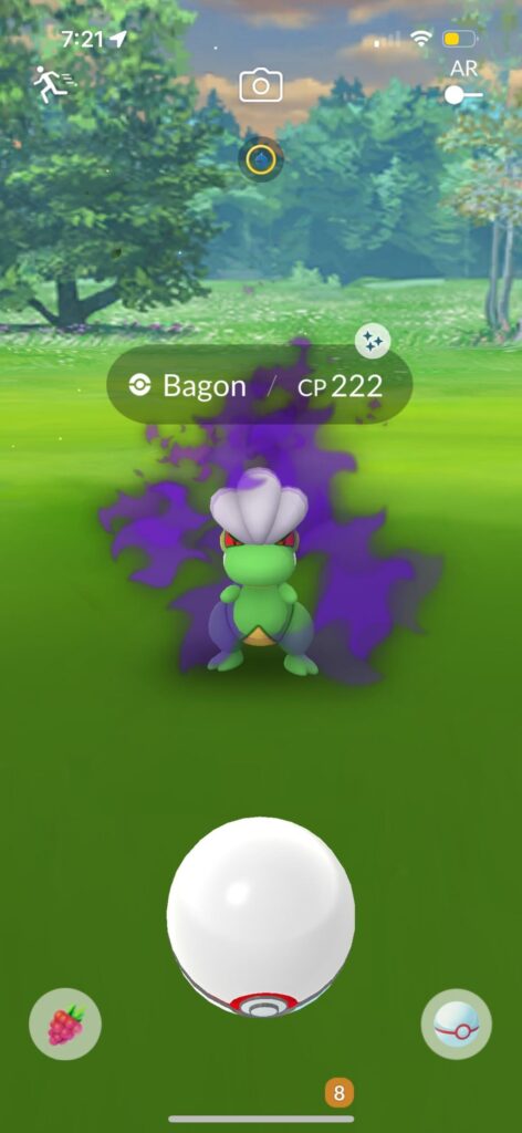 Shiny shadow bagon