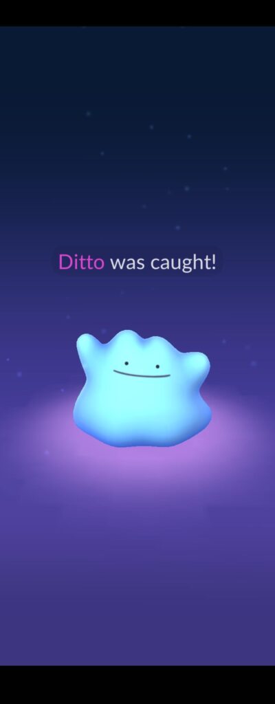 I Didn't Know Wild Ditto Could Be Shiny!