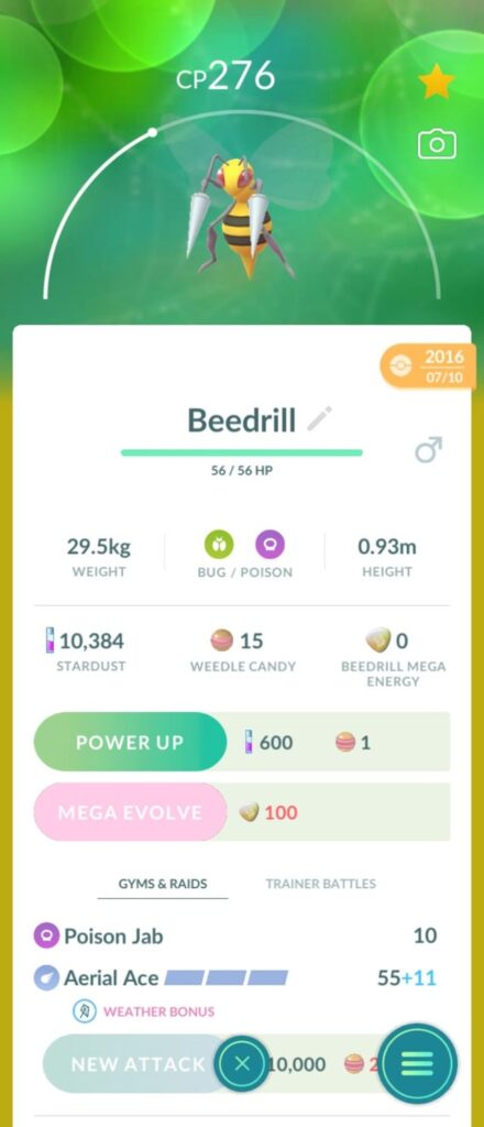 My 2016 pokemon say hi!