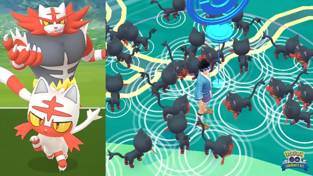 Litten Community Day! Incineroar learns Blast Burn & Darkest Lariat