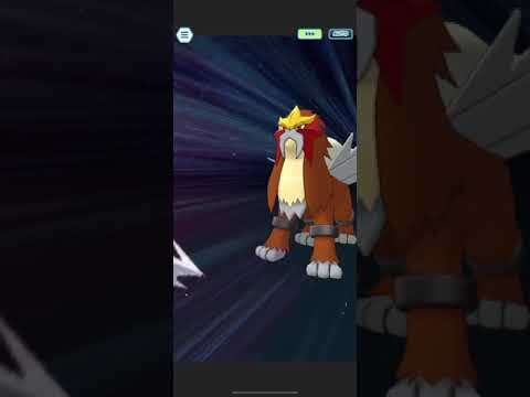 Tierno (Spotlight.) & Crawdaunt Solo Entei Legendary Arena [Pokemon Masters Ex
