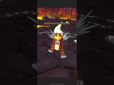 Dahlia (Arcade Star) & Ludicolo Solo Entei Legendary Arena [Pokemon Masters Ex]