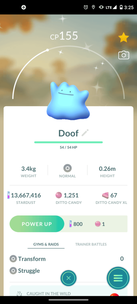 Tried to catch a Bidoof, but all I got was this thing