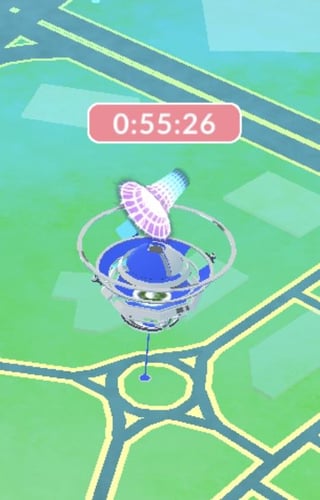 Does anyone know what these are?