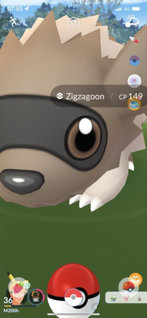 Dynamax Zigzagoon? 👀