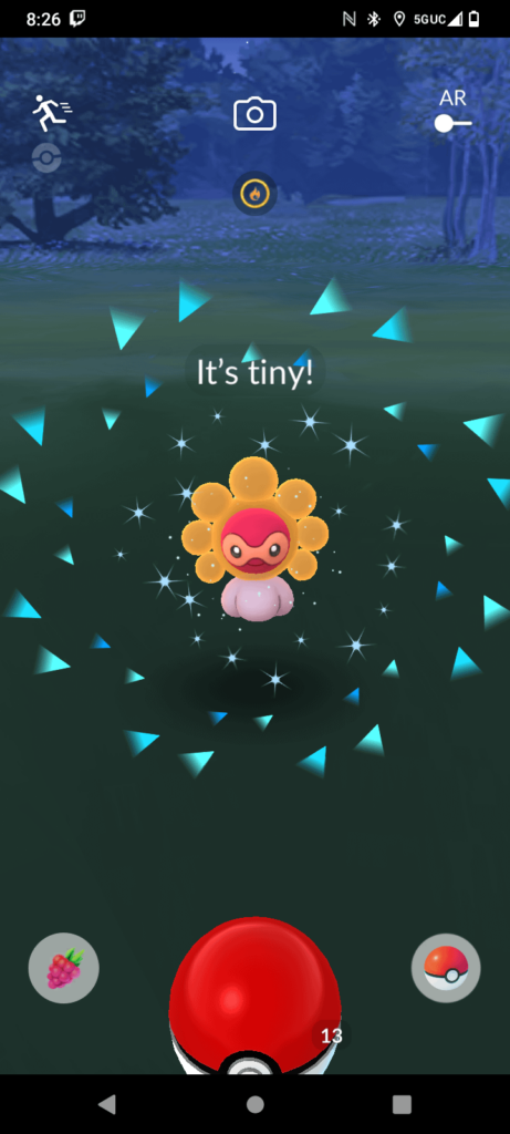 FINNALY I FINALLY GOT A XXS SHINY AND ITS A CAST FORM