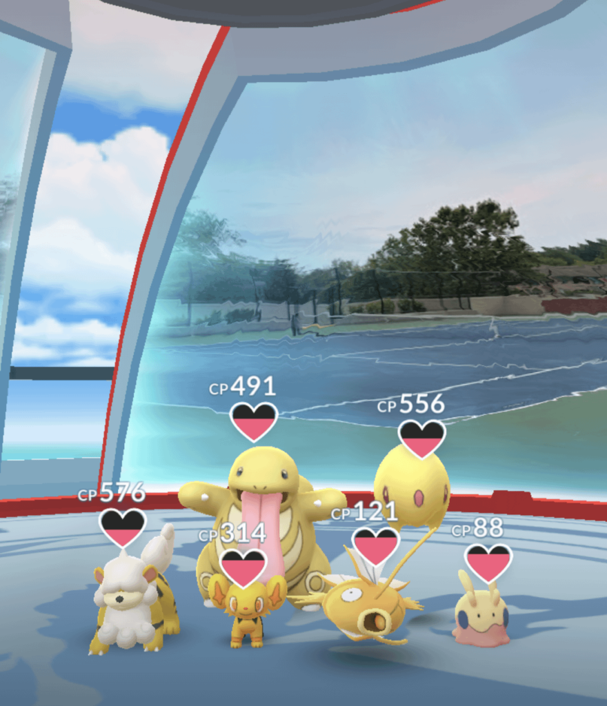 Saw this cool gym today.