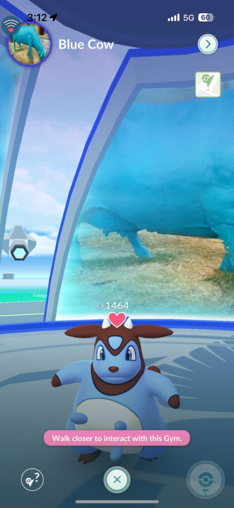 The Perfect Gym for this little shiny