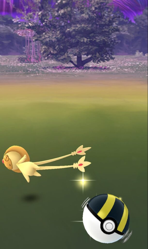 Pretty chuffed with these guys!